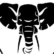 Team Page: Tension Tribe